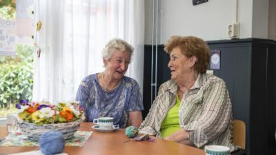 Twee dames samen aan het breien