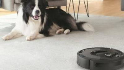 Een hond die kijkt naar een voorbij komende stofzuigerrobot.